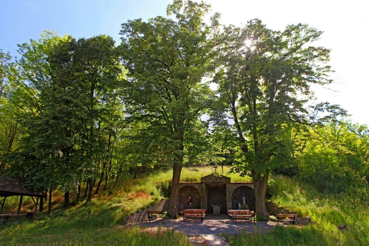 Villa Mons Aureus Popovac Exterior photo